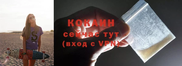 ешки Таштагол