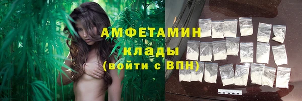 тгк Нея