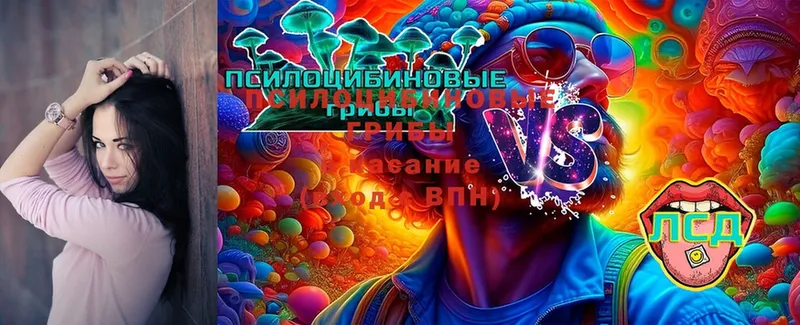 Галлюциногенные грибы MAGIC MUSHROOMS Советская Гавань