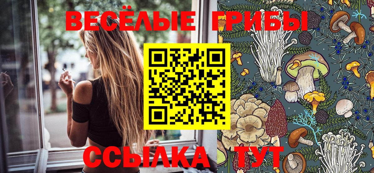 Псилоцибиновые грибы Magic Shrooms  Вход с VPN  Советская Гавань 
