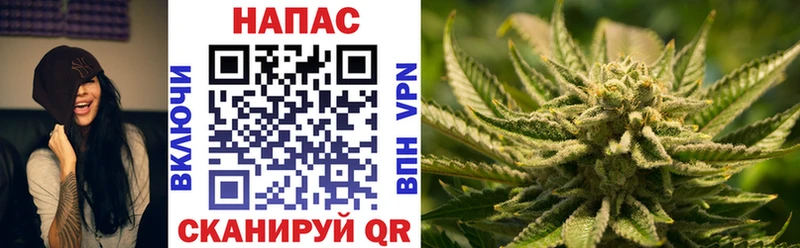 Канабис гибрид  Советская Гавань 